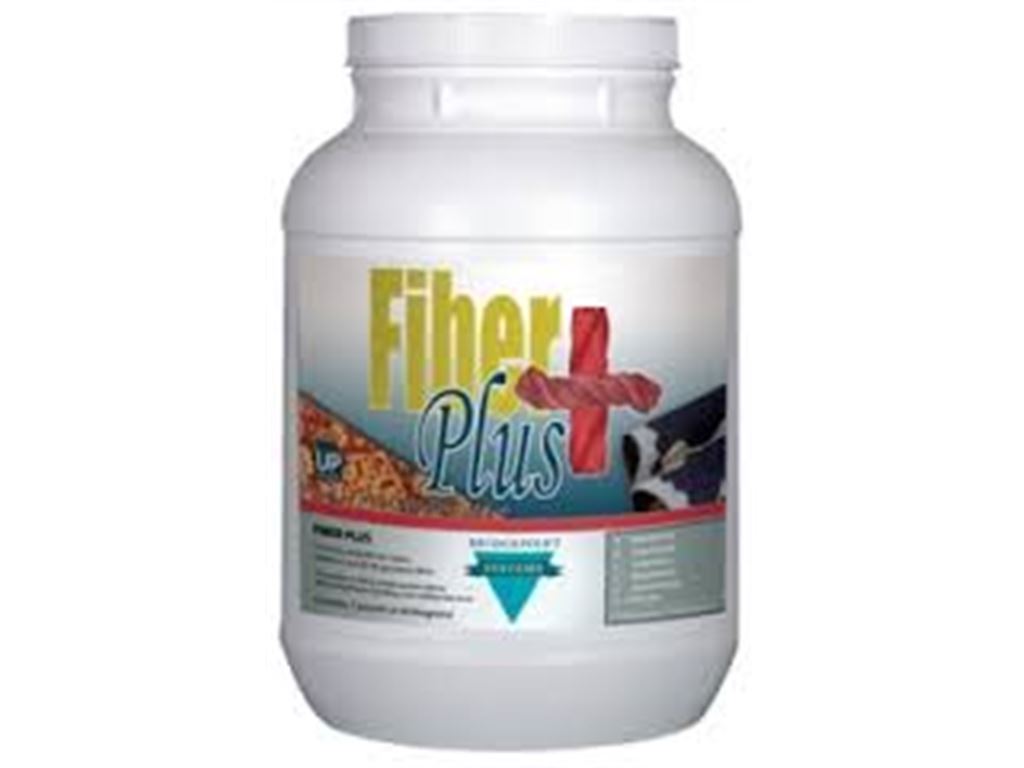 FIBER PLUS