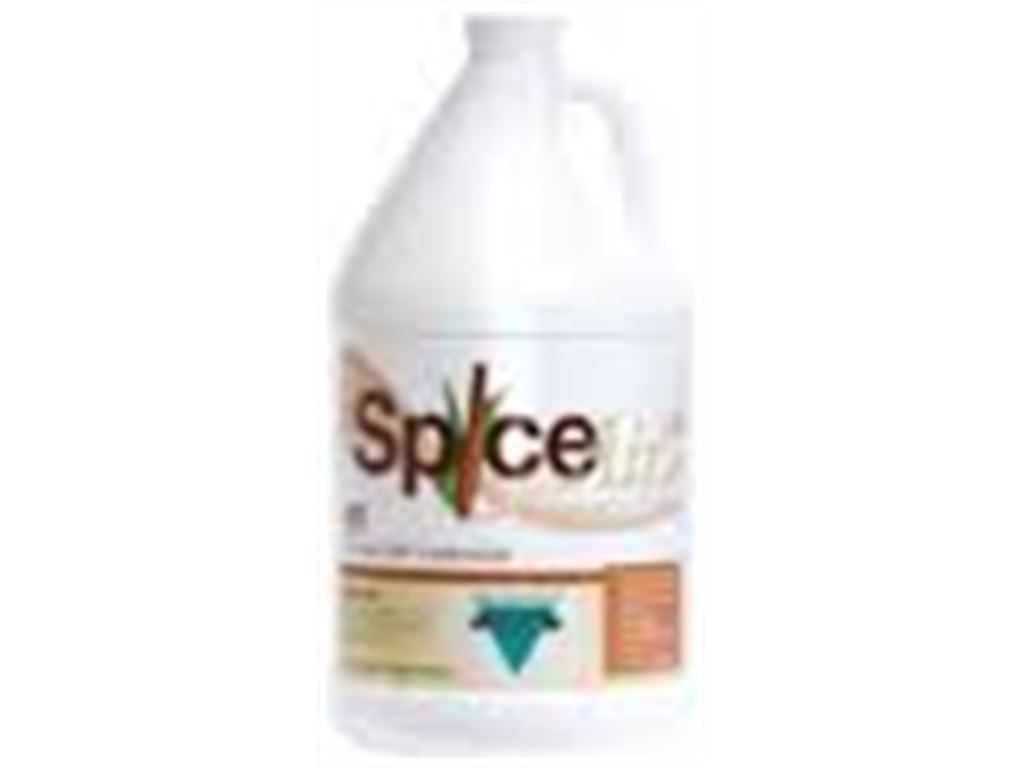 SPICE AIR